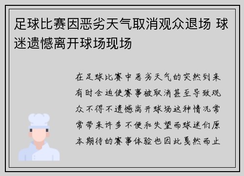 足球比赛因恶劣天气取消观众退场 球迷遗憾离开球场现场